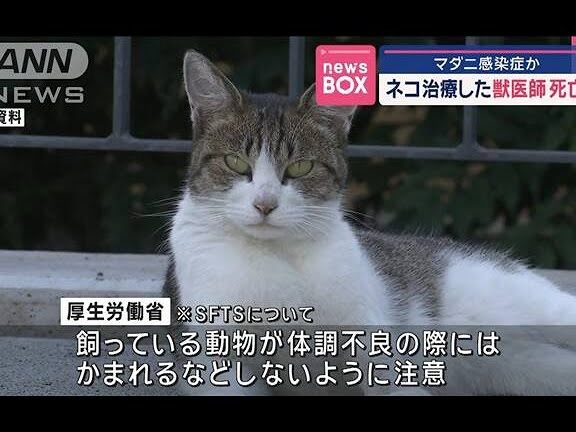 マダニ感染症獣医師死亡の病院情報と対策