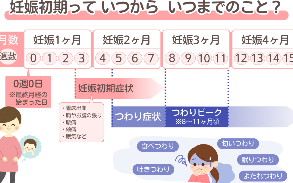妊娠何週目で病院に行くべきかを解説しま?